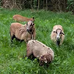 Fuchsbauerhof - *