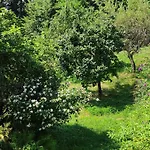 Fuchsbauerhof - Apartamento *