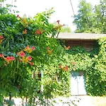 Apartamento Fuchsbauerhof - Kniezenberg