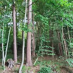 Fuchsbauerhof -