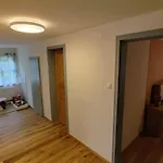 Fuchsbauerhof - * Kniezenberg