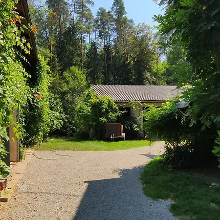 Apartment Fuchsbauerhof - Kniezenberg