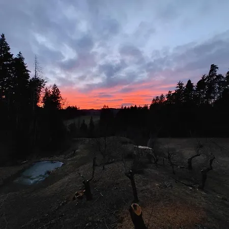 Appartement Fuchsbauerhof - *