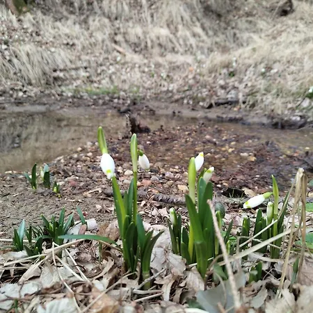 Fuchsbauerhof -