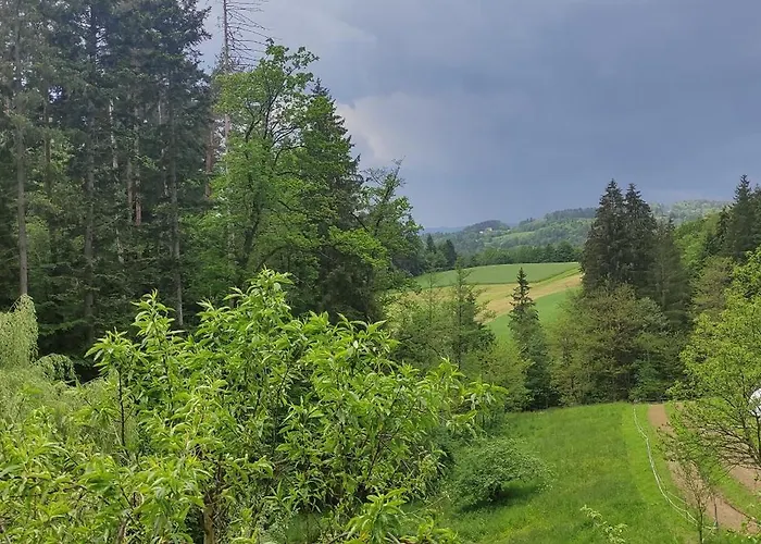 Fuchsbauerhof - Appartement Kniezenberg