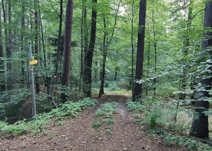 Appartement Fuchsbauerhof - Kniezenberg