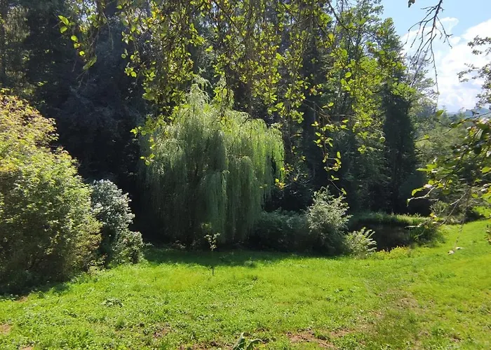 Fuchsbauerhof - Appartement Kniezenberg