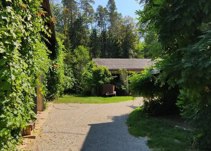 Appartement Fuchsbauerhof - Kniezenberg