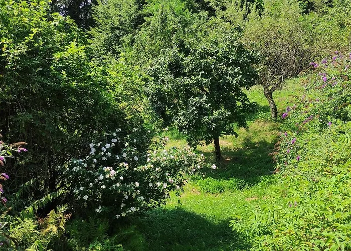 Fuchsbauerhof - Appartement *