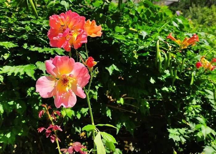 Appartement Fuchsbauerhof -