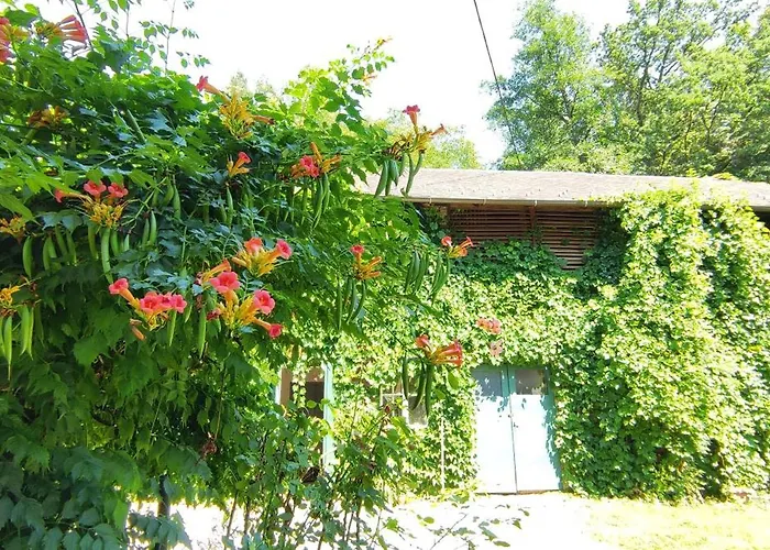 Appartement Fuchsbauerhof - Kniezenberg