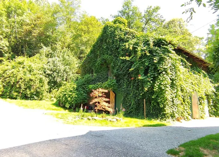 Fuchsbauerhof - Appartement