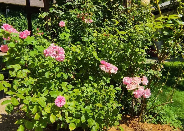 Appartement Fuchsbauerhof -