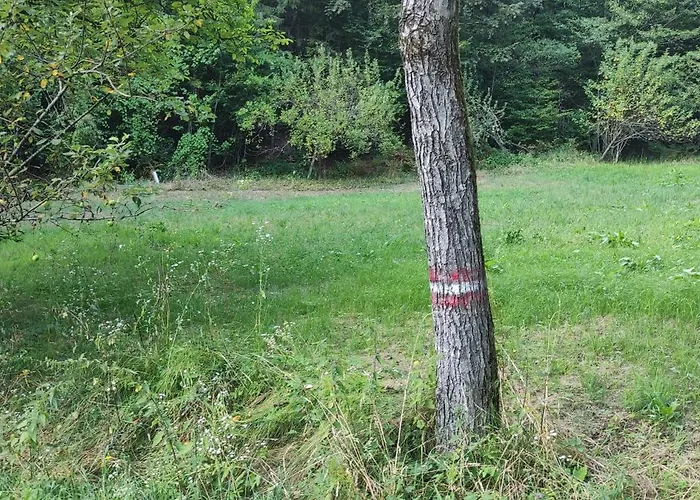 Appartement Fuchsbauerhof -