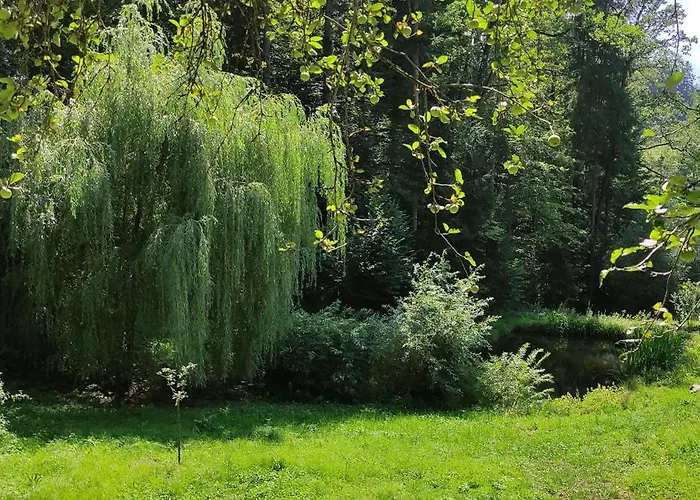 Fuchsbauerhof - Appartement