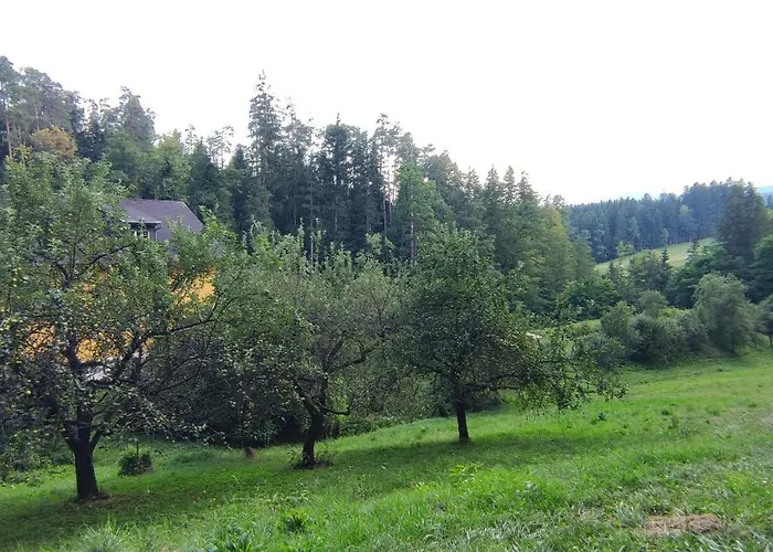 Fuchsbauerhof - Appartement