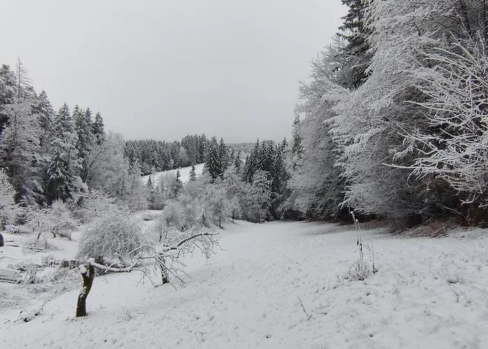 Fuchsbauerhof - Appartement