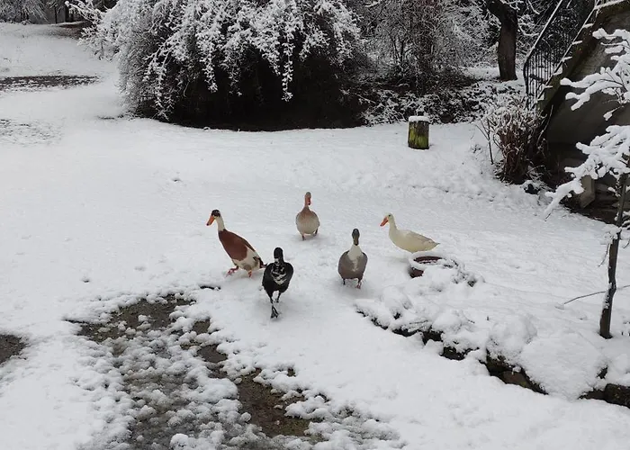 Appartement Fuchsbauerhof -