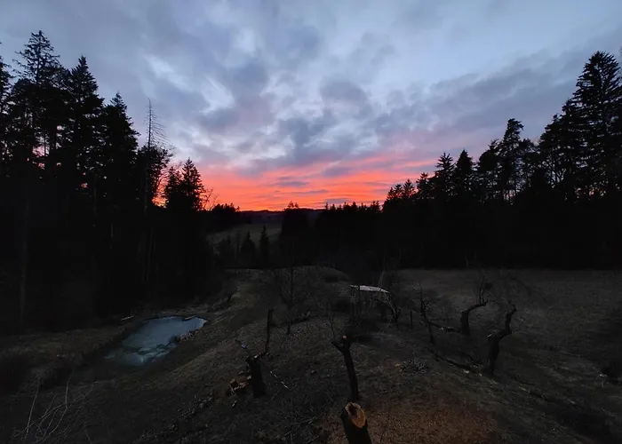 Appartement Fuchsbauerhof - *