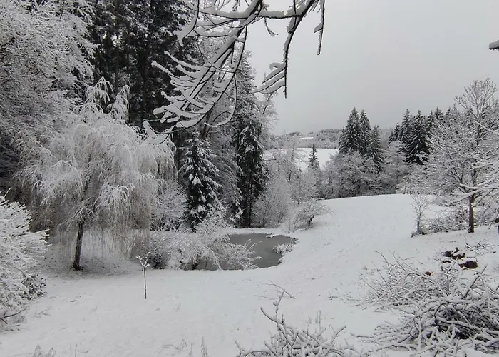 Fuchsbauerhof - Appartement Kniezenberg